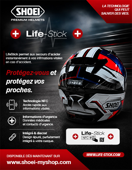 LIFESTICK